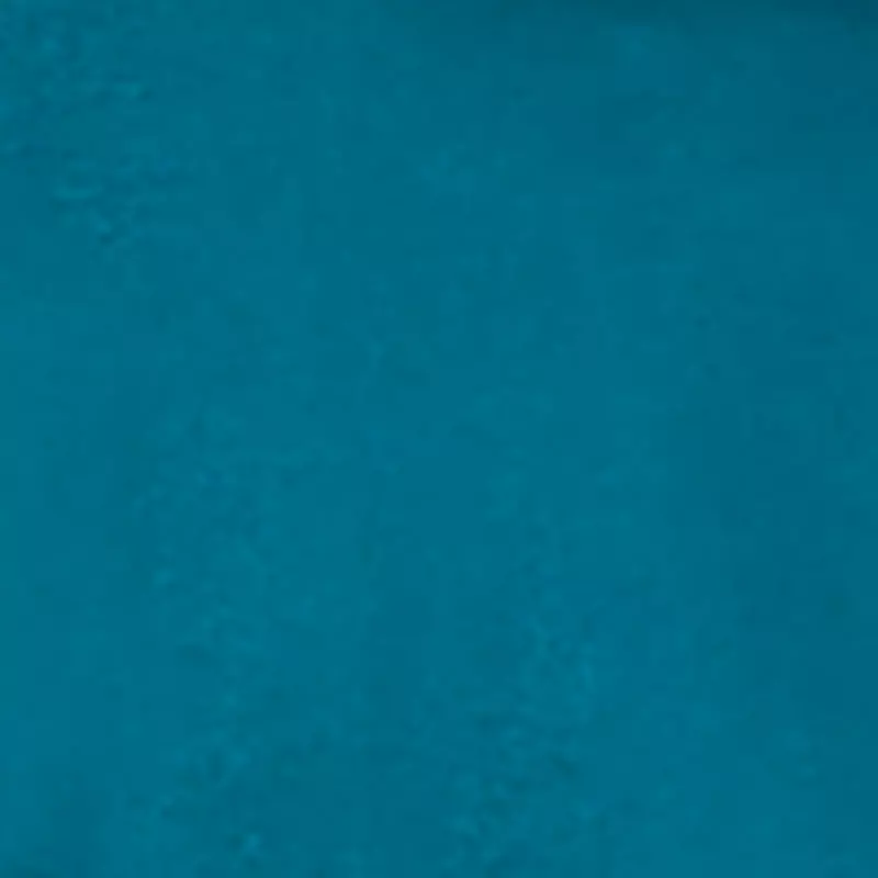 FH23_HM_TEAL_6311772_WS001