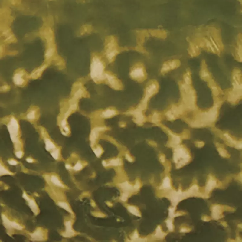 SP25_NA_6317129_453862_WS103703